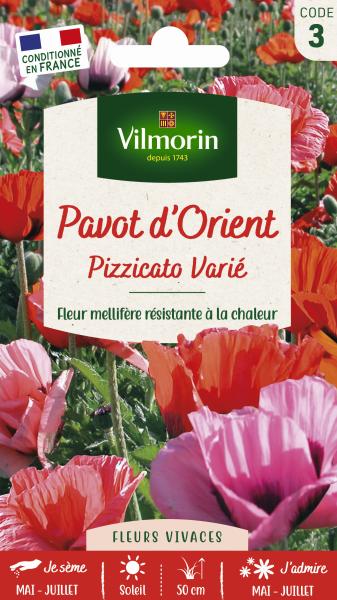 Fleurs - Pavot Pizzicato Varié - PACKAGING_RECTO